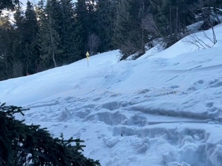 Great Amateur Ass Pov