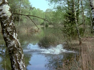 Group sex with brunette babes