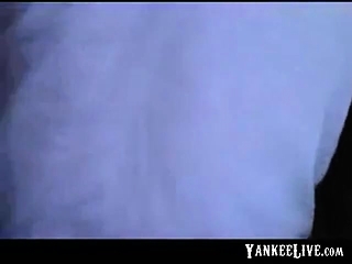 Troia toscana riempita dal bull