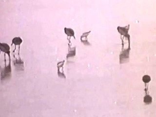 Hot amateur hardcore fucking HD video