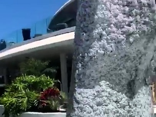 Leann amateur beautiful brunette with big boobs