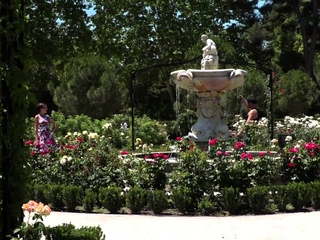 Public bitch drilled by nice dick in wet pussy hole