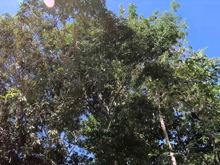 Amateur Thai Euro couple travel and sex