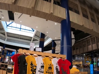 Amateur Thai girl picked up and fucked