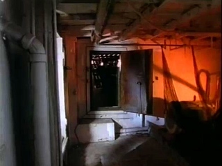 big boobs girl busty webcam nice