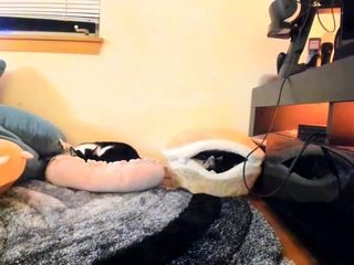 Hottest brunette solo webcam masturbation 2