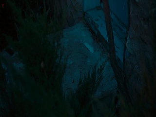 Megan Fox walking through a party in a very low-cut dress