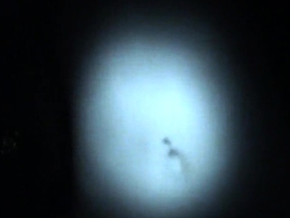 Secret sex with sexy teen