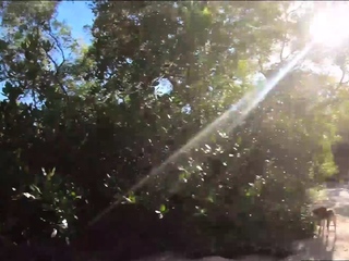 Thai girlfriend sex in the Philippines