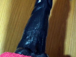 Anal madness – ep. 2