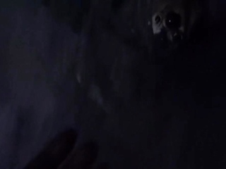 Tan stud gives a POV blowjob to his big cock