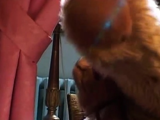 Vintage Hairy French Teen Girl Has Sex