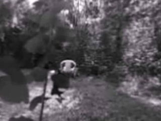 ANTIQUE FUCK IN PUBLIC PARK