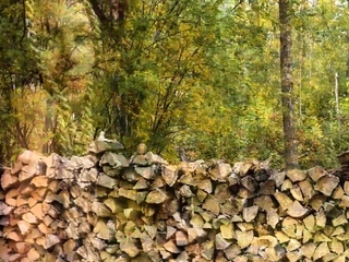 Cute black MILF posing in hot lingerie