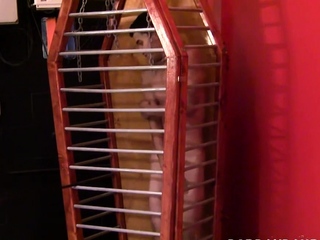 Submissive Lucas Love endures rough torment from dom Mikeal